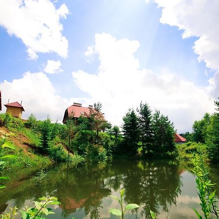 Villa Buhiv Skhidnytsia Luaran gambar