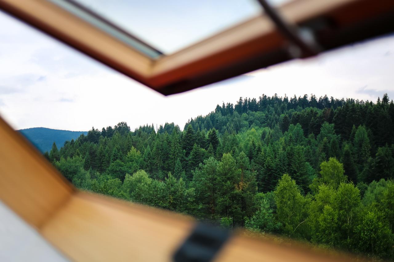 Villa Buhiv Skhidnytsia Luaran gambar