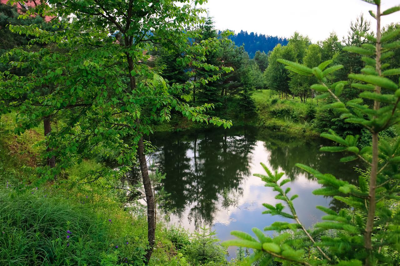 Villa Buhiv Skhidnytsia Luaran gambar